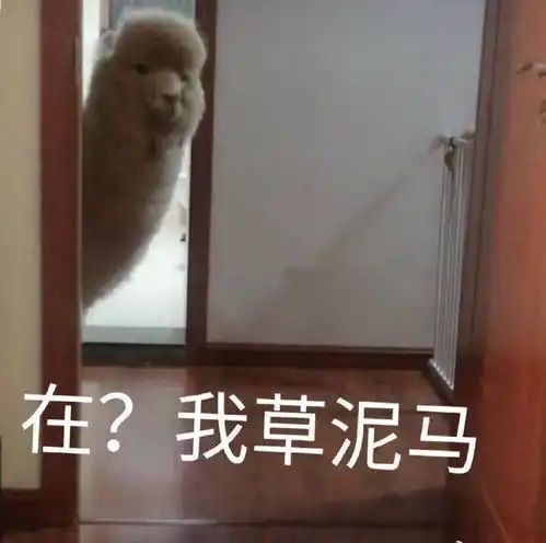 聊天时对方消失可以用什么表情包表达愤怒
