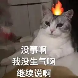 100张热门斗图表情包
