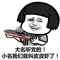 皮皮舰,我们走
