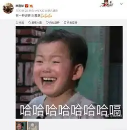 鹿晗发民国表情包被骂没脑子,那么大量网民用着黑图又该如何
