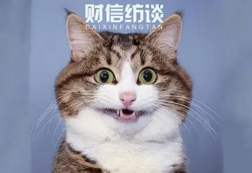 央企信托331号扬州江都项目
