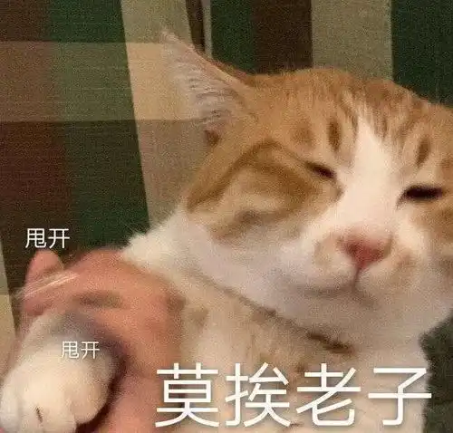 笑话不好抓不住了,开个玩笑而已,不要紧张
