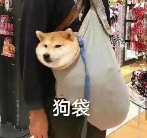 公务员真的那么好吗
