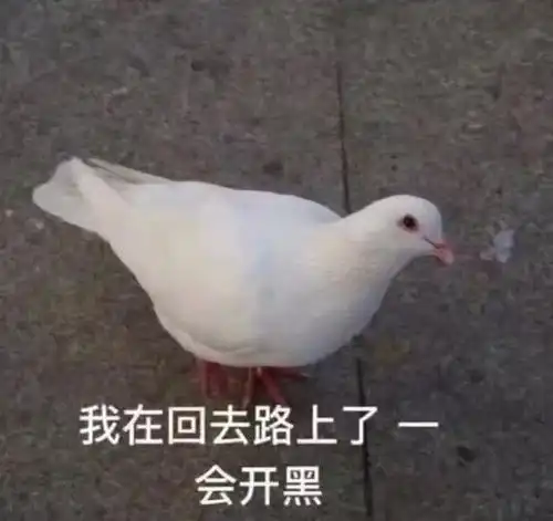 聊天表情包411期
