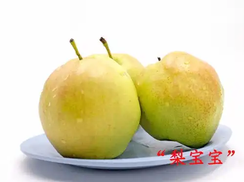 等了一年挂在枝头的梨汁浓郁果香飘满屋,甜入心窝,清润降火
