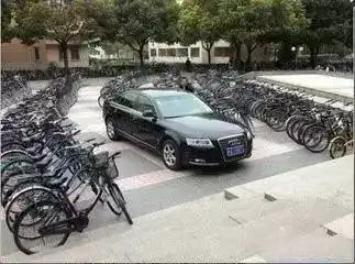 环卫大爷之怒40个垃圾桶围堵私家车......

