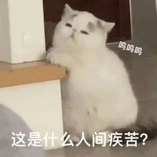 指挥型ad,e脸输出真大腿,阿水带队20es丨圣枪哥不打上单了28局卡萨丁整活
