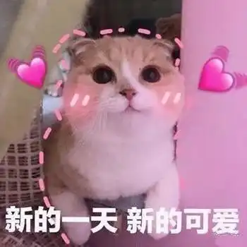 爱心表情包
