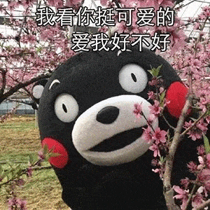 抖音热门沙雕表情包今天也是想你的一天
