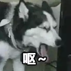 我感觉可乐是苦的,你们呢