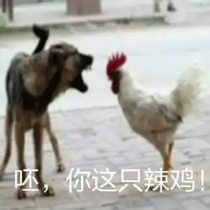 图说年假将尽,鸡年大吉了吗
