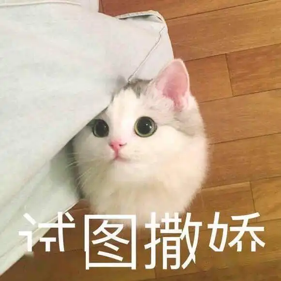 在广理,有一个高颜值的部长是什么样的体验
