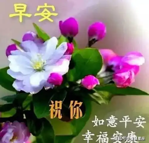 6月18日很漂亮的早上好动图表情包初夏早上好图片大全带字
