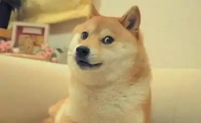 柴犬表情包搞笑ems