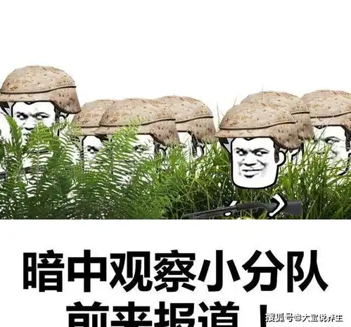 笑话小时候帮爸妈跑腿买东西,哥哥总说你去,你骑着马跑得快
