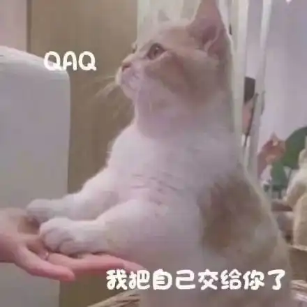热门表白表情包
