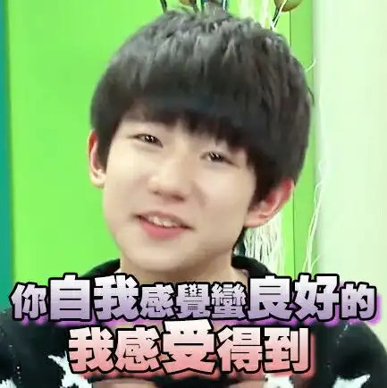 tfboys王源表情包
