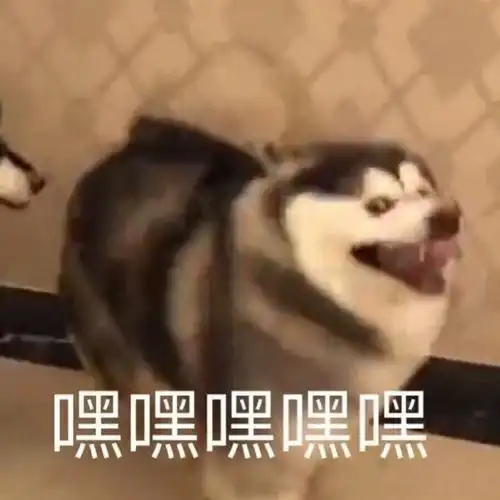 西瓜
