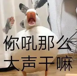 为什么有人说喜欢发猫表情包的男生是渣男
