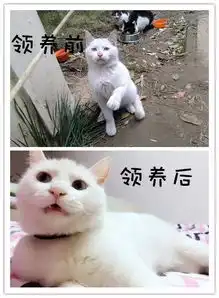 北京林业大学本科招生网
