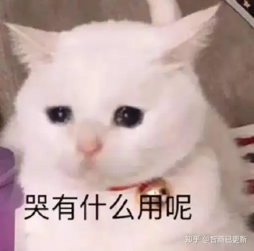 想问问各位考研的知友们,关于英语手译有必要吗

