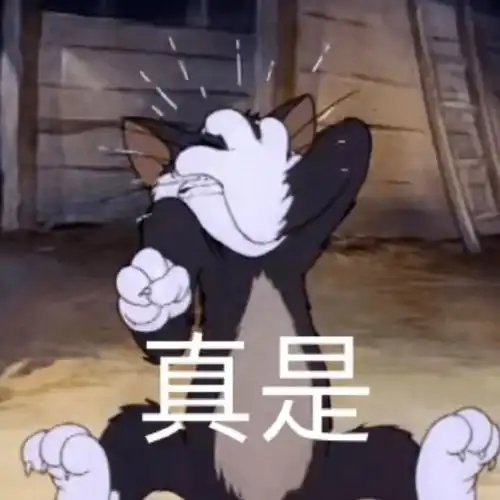 表情包快看那个人类,这是她第108次说要减肥了
