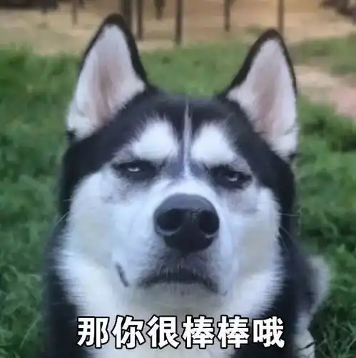 听说旺旺旺狗年有萌犬与你相伴