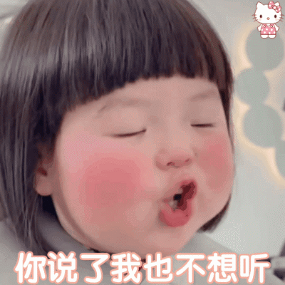 沙雕表情包你说了我也不想听
