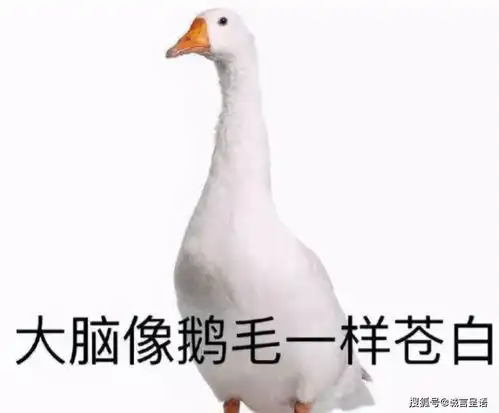 文科生vs理科生,大学毕业后才发现,差别不是一星半点
