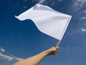 中越战争中,我军为啥不接受越南举白旗,美国就是前车之鉴