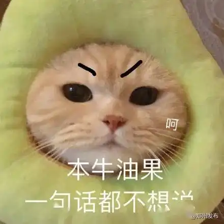 郑小布说天气这件事千万别忘记,今天附上防晒锦囊
