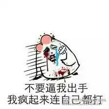 不要逼我出手,我疯起来连自己都打
