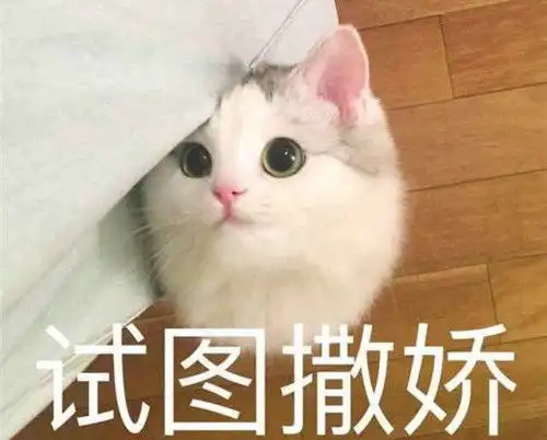 开心一刻小时候爸妈有次吵架,说吃完饭就去离婚
