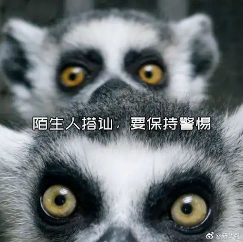 今天母亲节,送你一组护犊情深表情包
