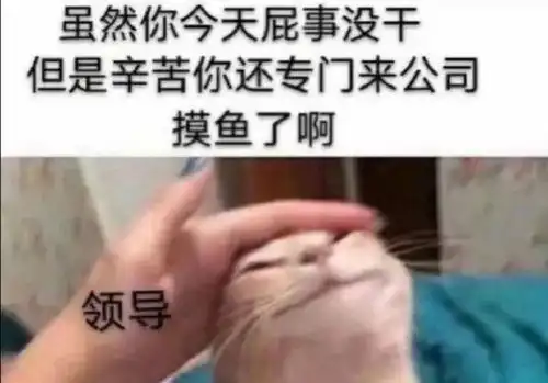 本周不想上班的星座
