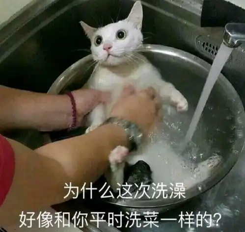 女生你们对男生身高有要求么
