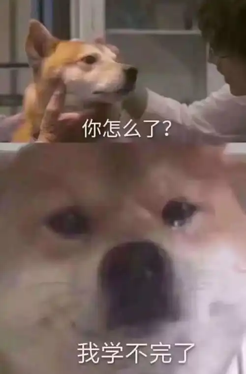 拾趣记论如何从小测试扯到期末复习
