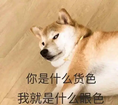 为何狗狗会和狗妈妈发生繁殖行为网友真是惊呆了
