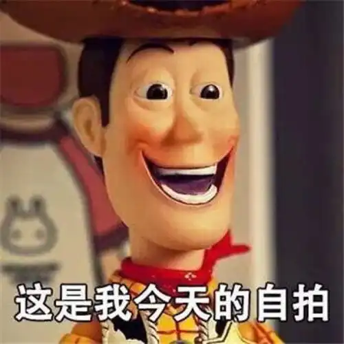 这是我今天的自拍表情包
