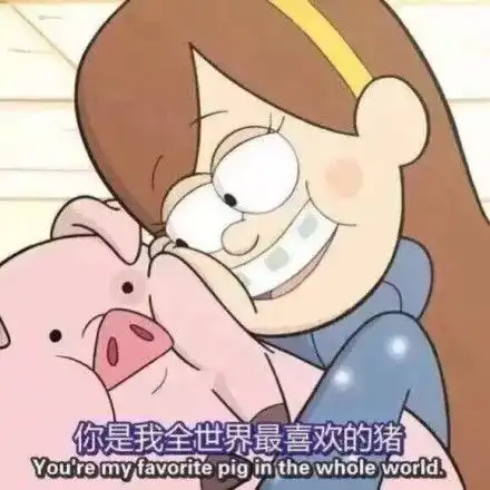 你是猪吗的表情包
