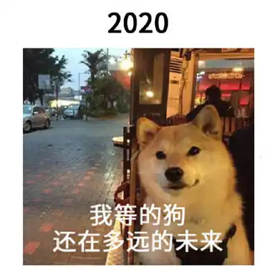 2021一组跨年的搞笑表情包跨过的都会实现的

