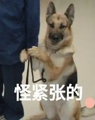 解构主义凯撒沙拉
