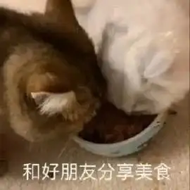 表情包又是无所事事快乐的一天
