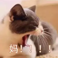 叫妈的猫咪表情包
