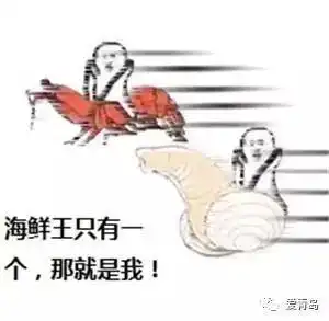 皮皮虾我们走被玩坏,这到底是个什么梗
