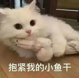 看比赛时来一口8斤鲜鱼才能做成1斤的小鱼干
