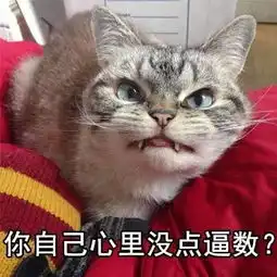 活动我们正在寻找全国最美的铲屎官......
