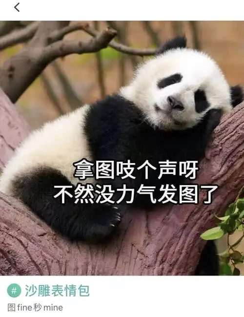 第一次推荐一款超级小众但是很宝藏的社交app

