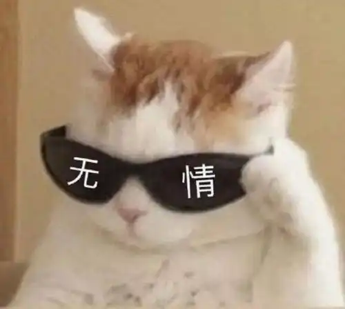 开学可以发的沙雕文案
