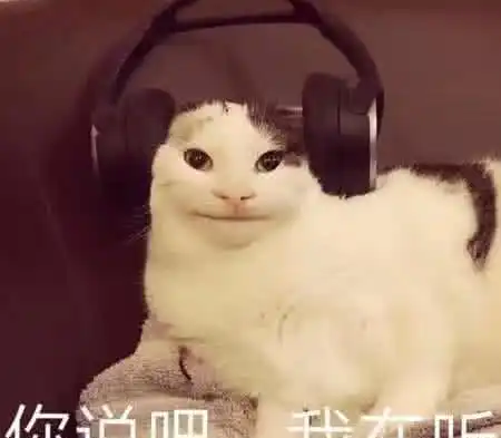 qq聊天专用的搞笑表情包让我听听你心里到底有没有老子
